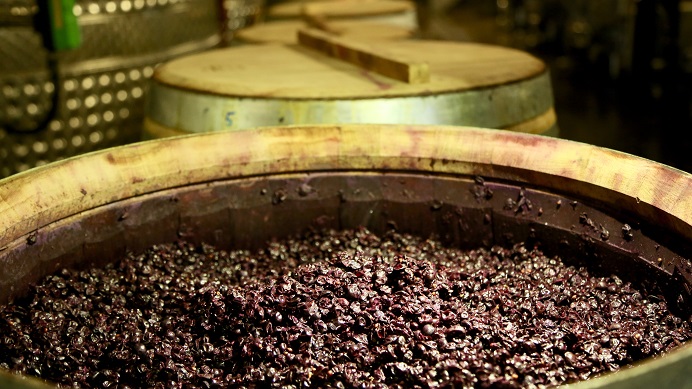 Bulichella fermSYRAH